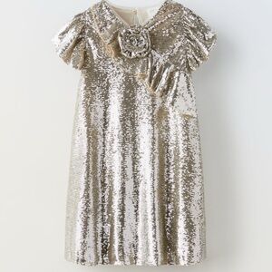 Zara silver Sequin Dress with Floral Detail
